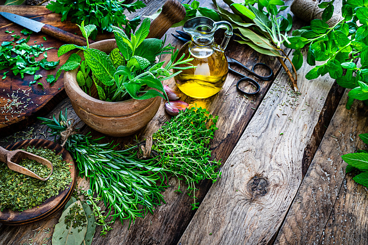 Do your own pest control natural options to protect your plants