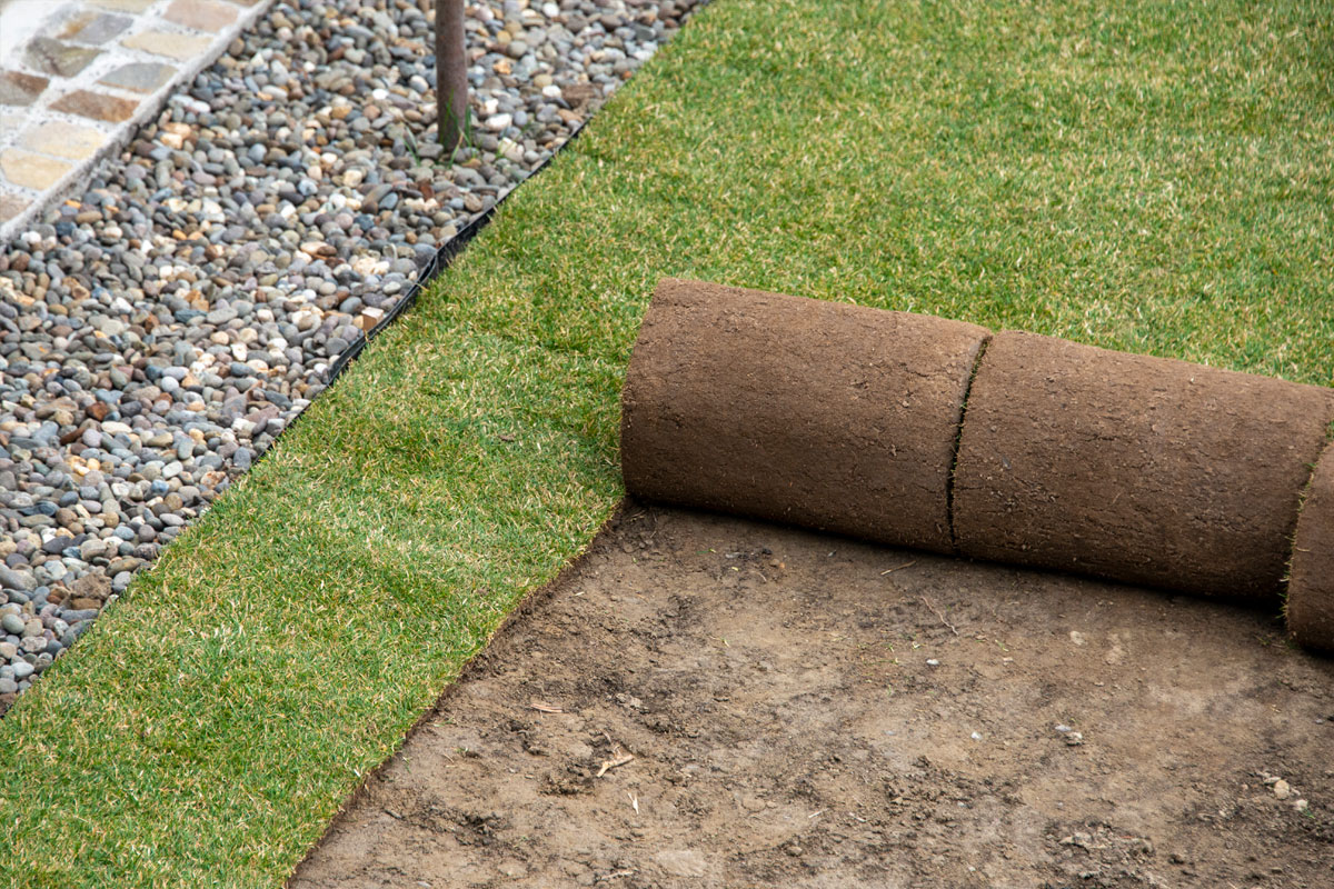Regrading a Yard How to Ward Off Water and Structural Damage