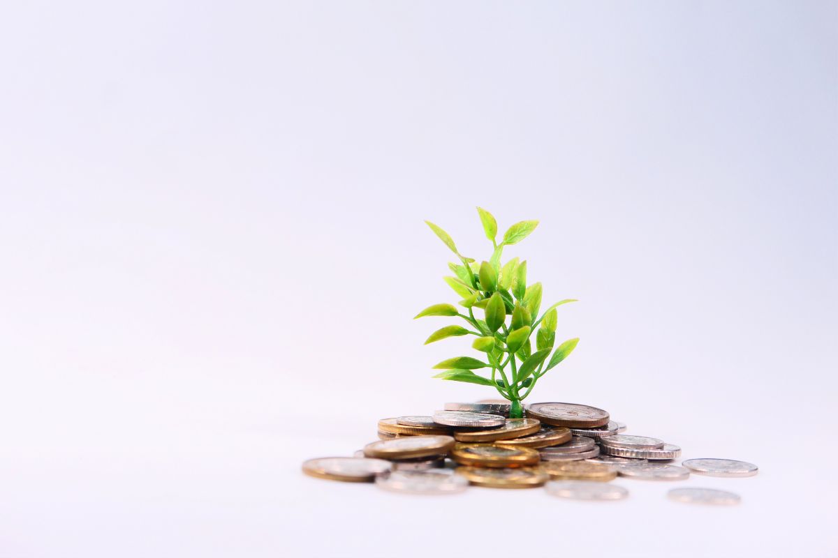 A pile of coins with a fake plant growing out of them, on a white background.